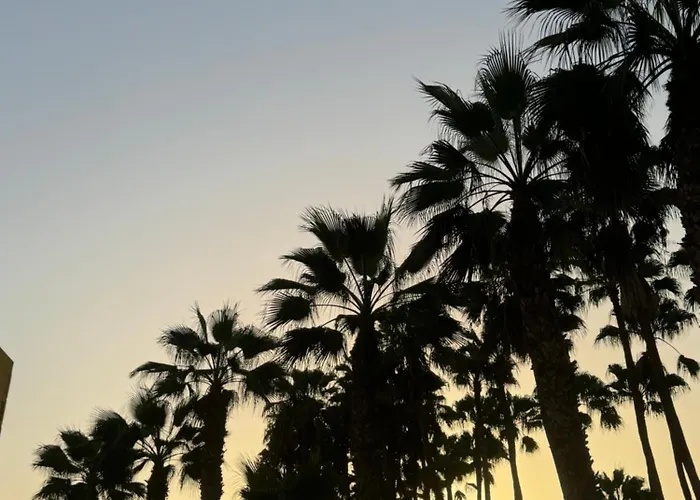 Americas With Pool View Apartment Costa Adeje (Tenerife)